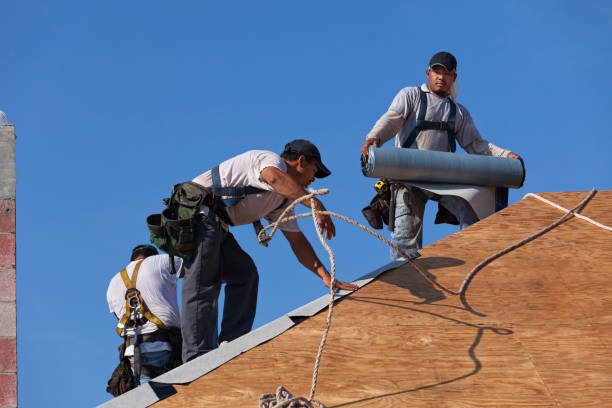 Best Storm Damage Roof Repair  in Moundville, AL