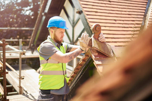 Best Metal Roofing Contractor  in Moundville, AL