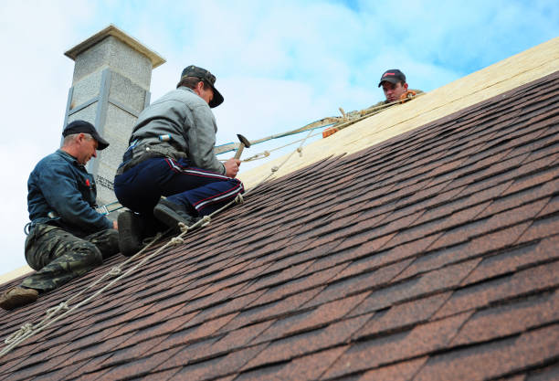 Best Roof Repair Services  in Moundville, AL